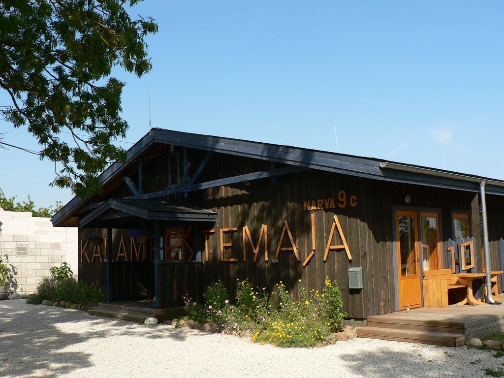Hostel Kalameeste Maja Mustvee Extérieur photo