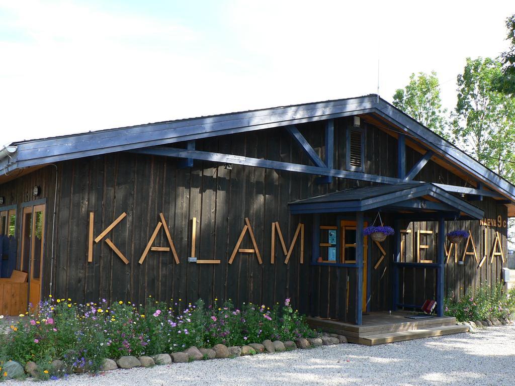 Hostel Kalameeste Maja Mustvee Extérieur photo
