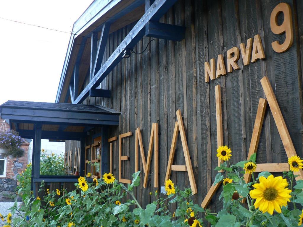 Hostel Kalameeste Maja Mustvee Extérieur photo