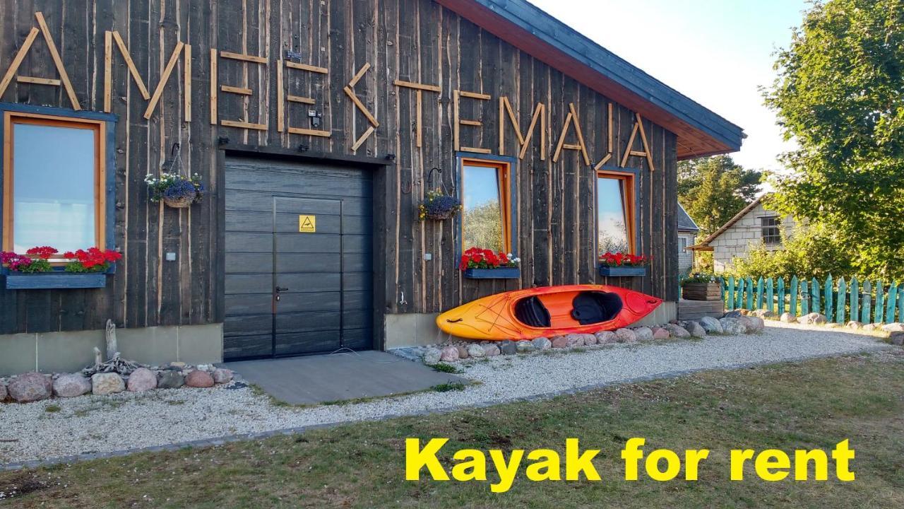 Hostel Kalameeste Maja Mustvee Extérieur photo